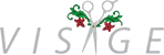 Studio Visage
